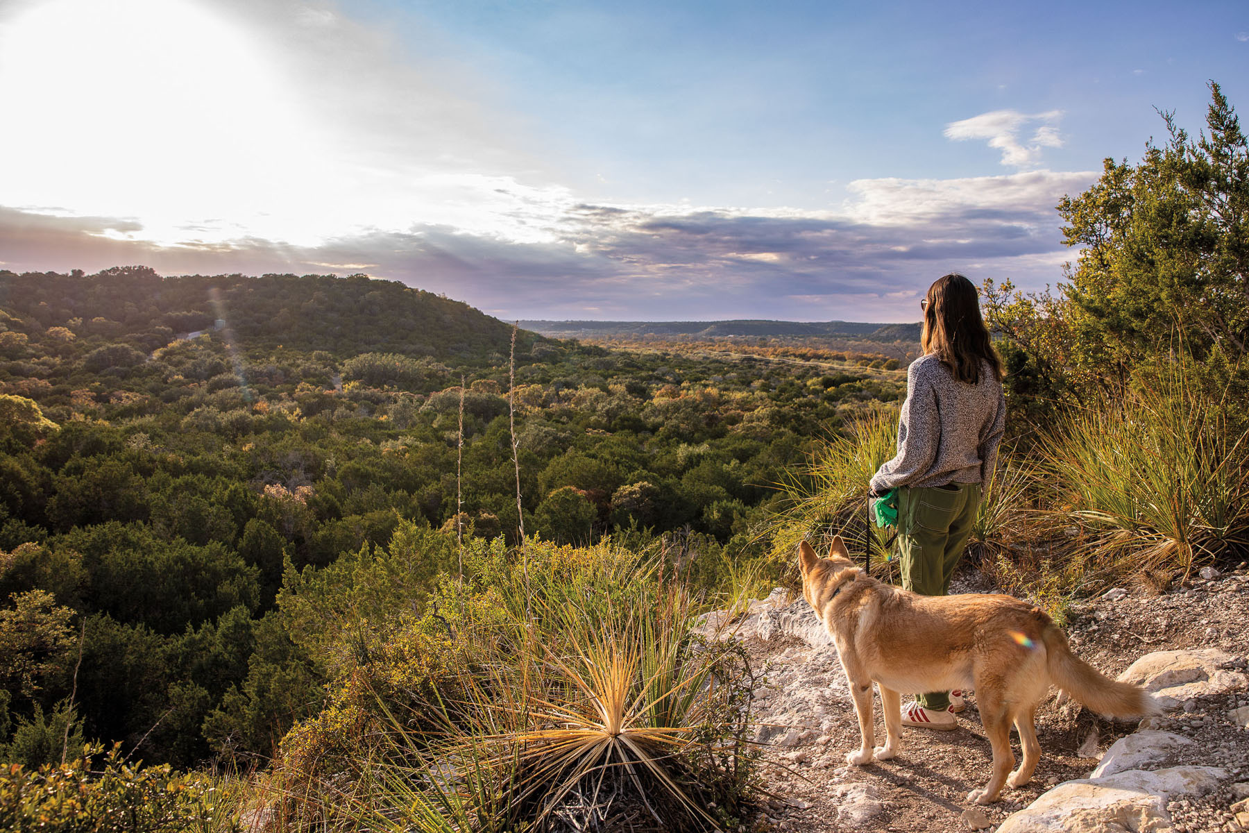 A woman stands next to her dog looking over a vast expanse of green trees and rocks