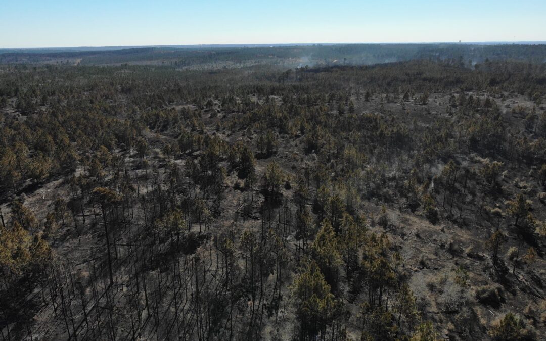 For Bastrop Residents, Last Week’s Rolling Pines Fire Was Too Close for Comfort