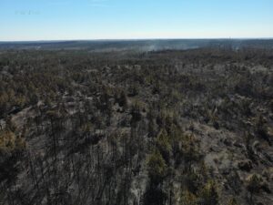 For Bastrop Residents, Last Week’s Rolling Pines Fire Was Too Close for Comfort