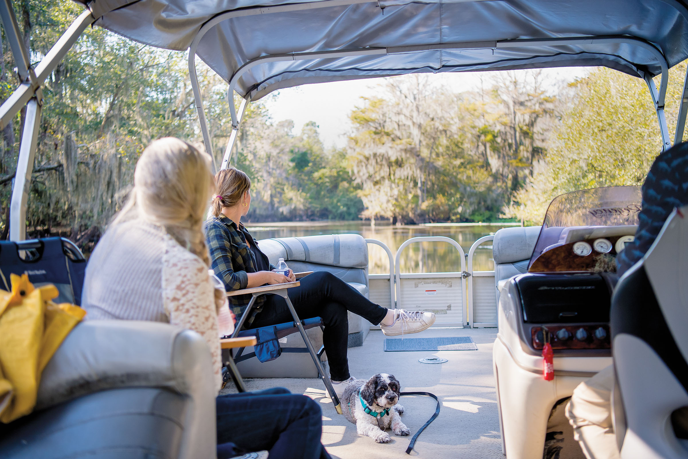 A group of people sit on a tan-interior boat in a lake surrounded by green trees