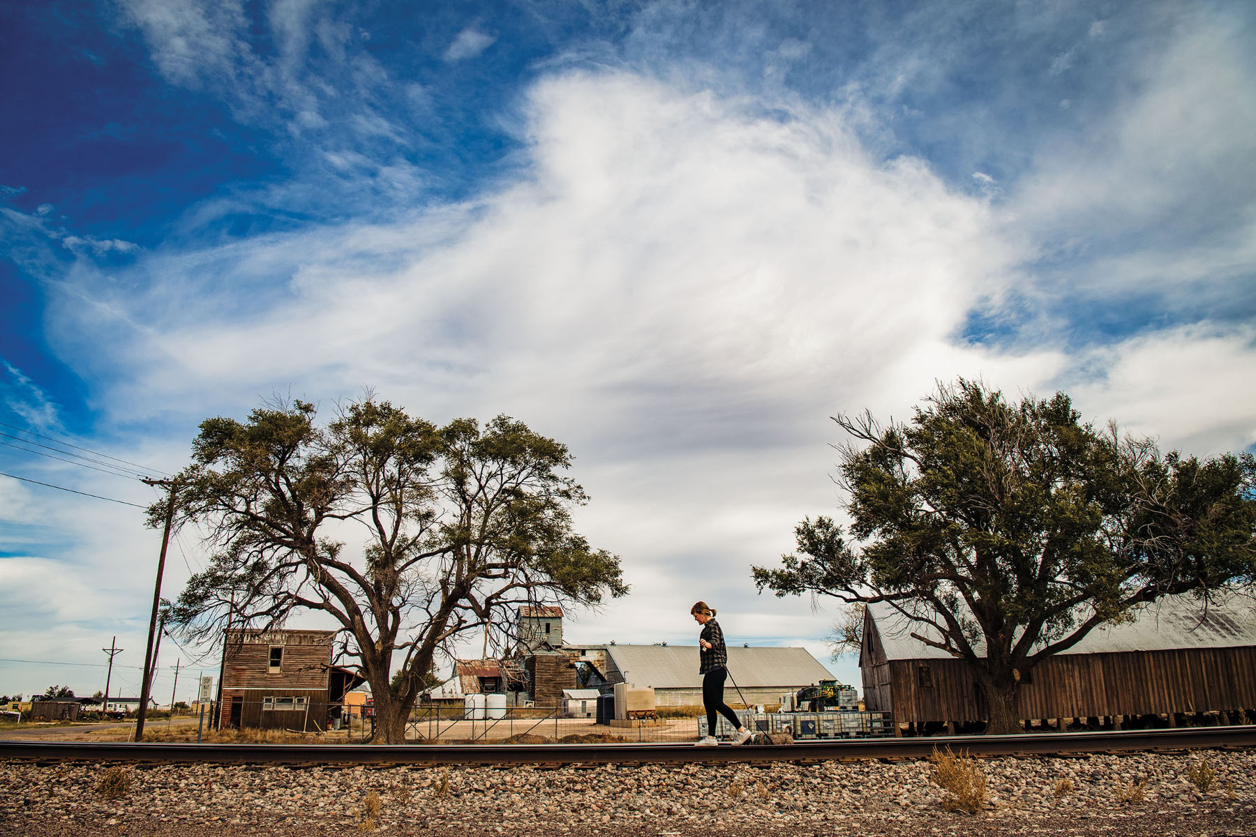 A woman walks her dog along railroad tracks under a few trees and a wide sky