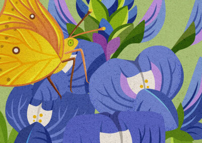 An In-Depth Look at the Texas Bluebonnet