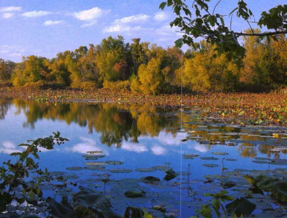 A blue lake reflecting fall color trees under a blue sky