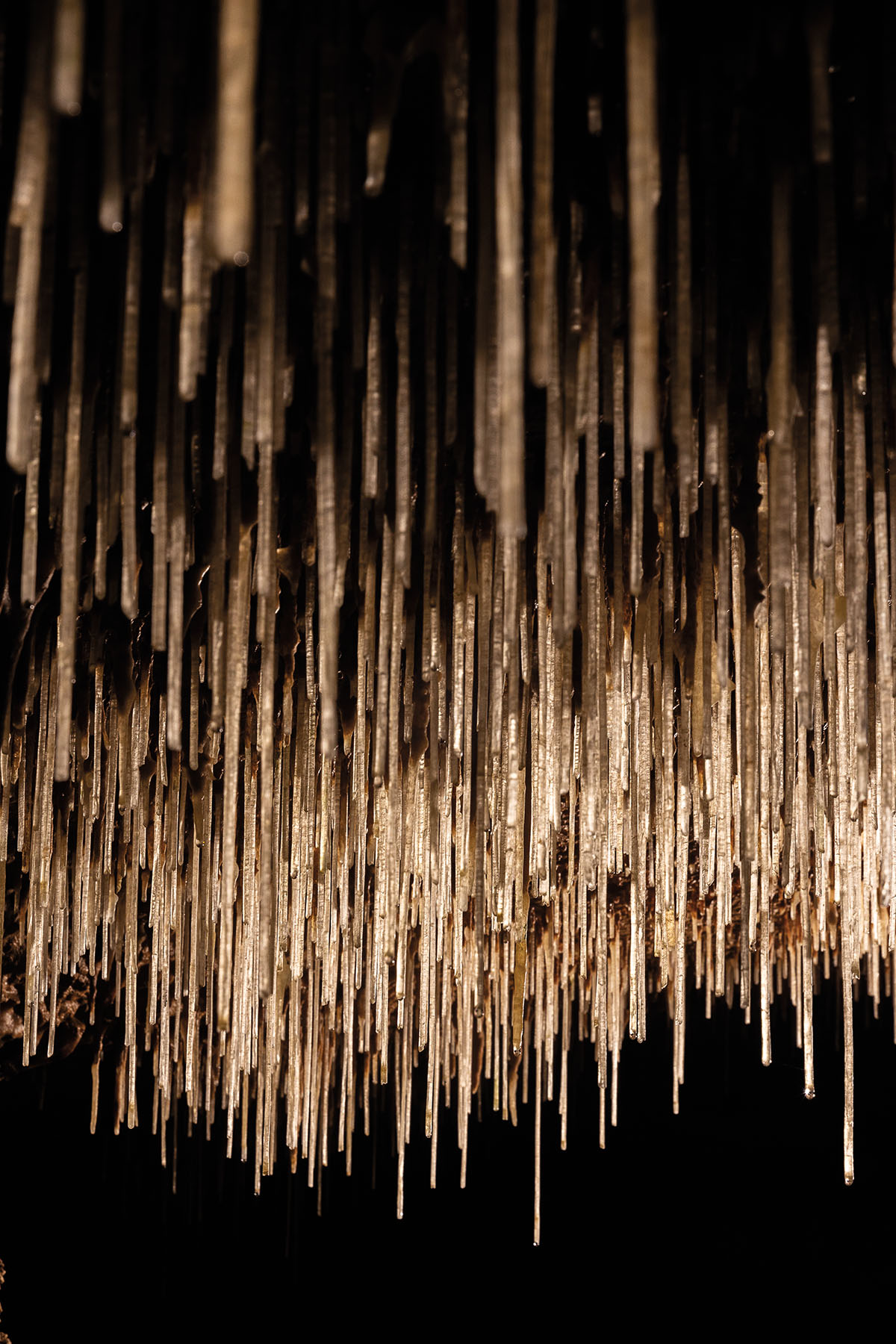 A photo of gray Soda straws in Inner Space Caverns