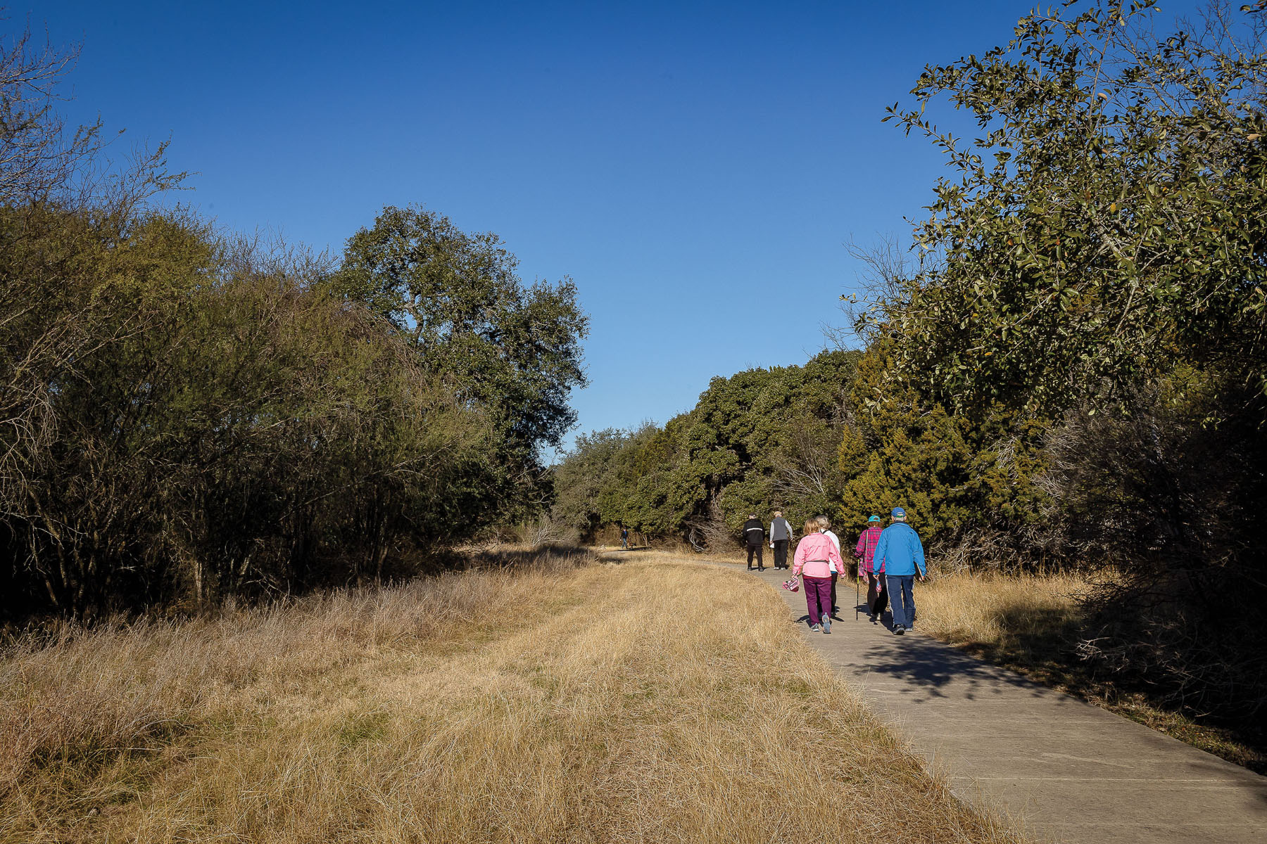 A picture of a group of people walking along a dirt path next to low grasses and tall green trees