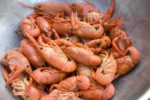 In Houston, Crawfish Season Is The Most Wonderful Time of the Year