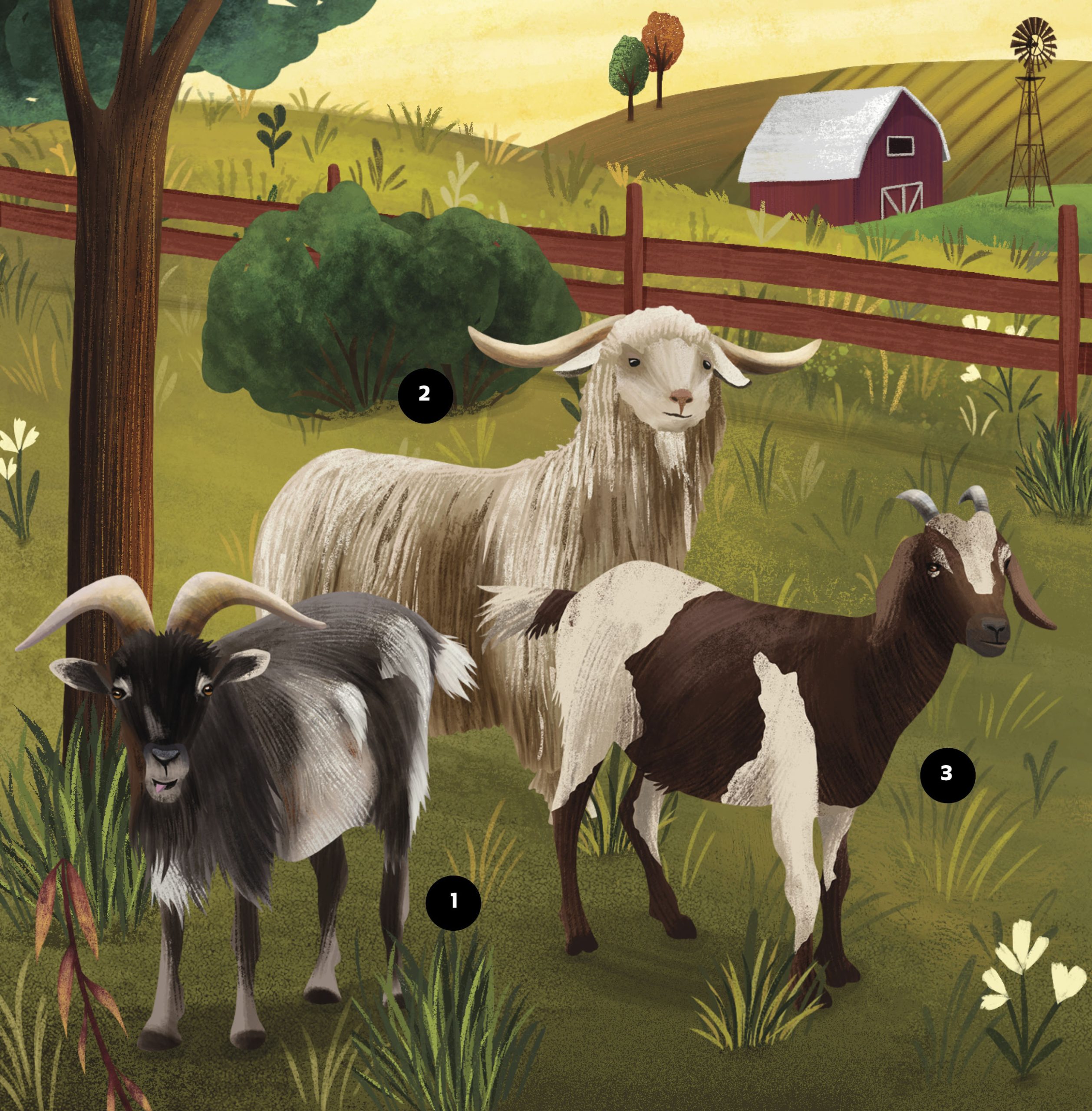 An illustration of three types of goats in a pasture