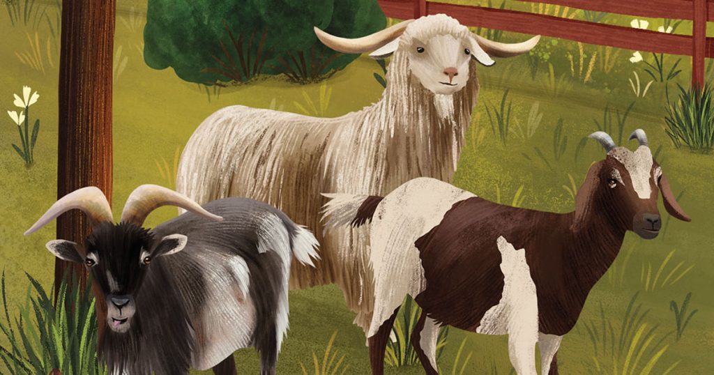 How Goats Went From Overgrazing Villains to Brush-Clearing Heroes