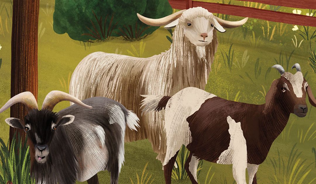 How Goats Went From Overgrazing Villains to Brush-Clearing Heroes