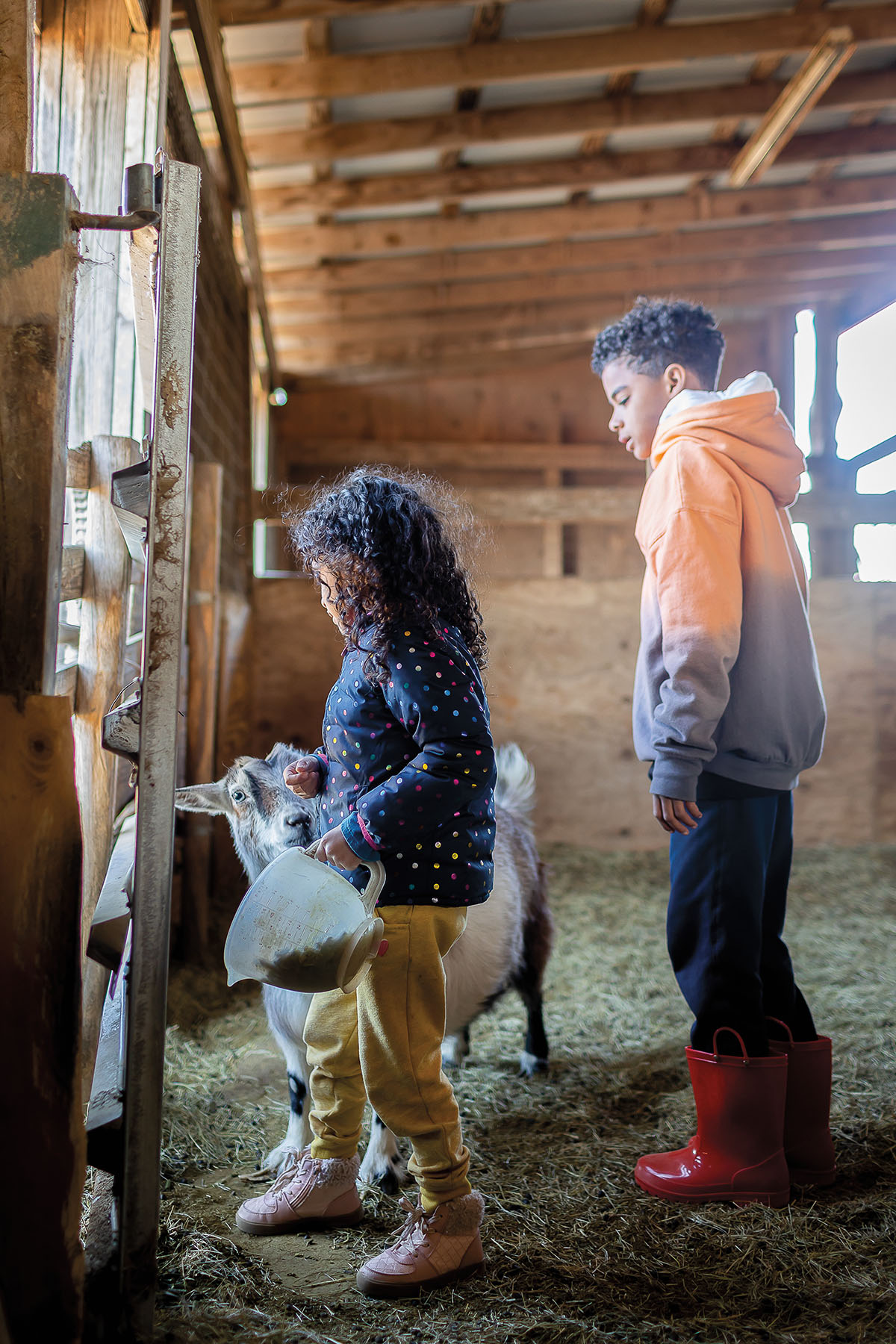 Two children feed a small white and gray goat in a barn
