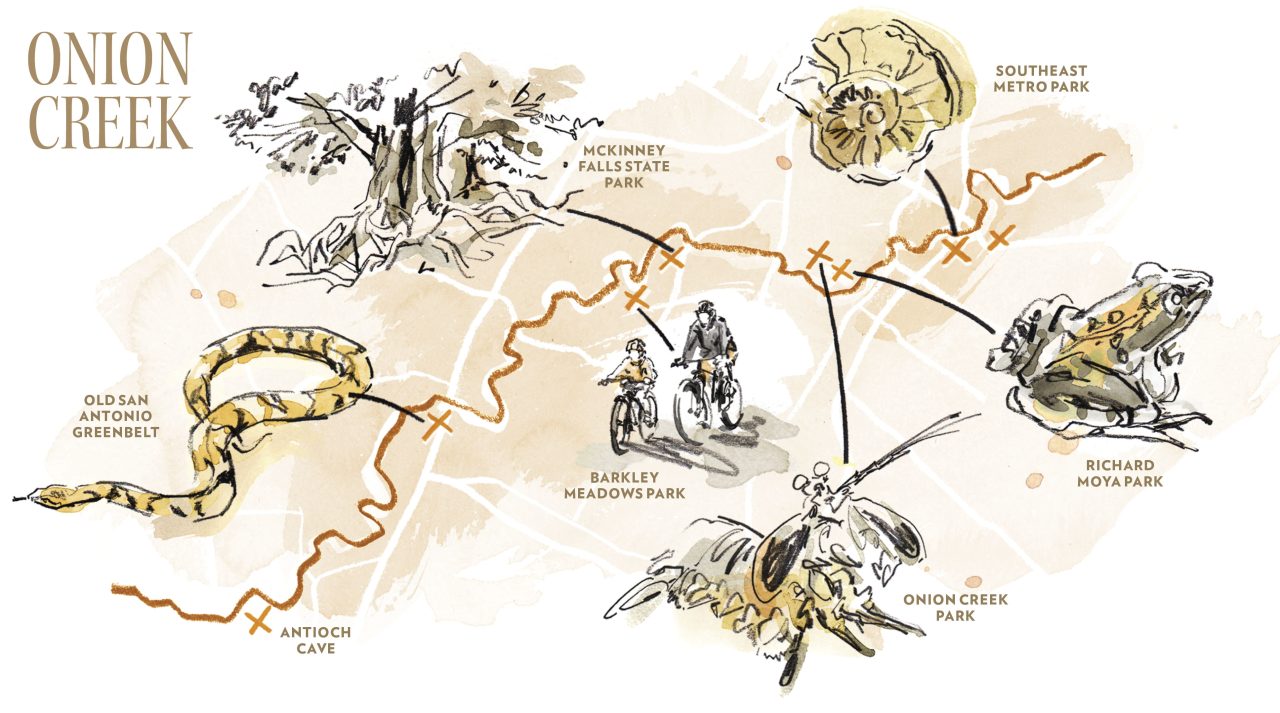 Peel Back the Layers of Austin’s Onion Creek