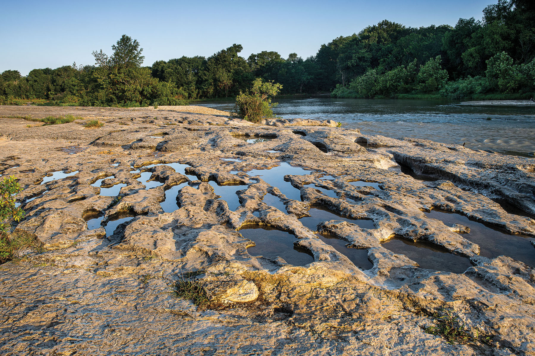 Water pools in notches in the earth next to tall green trees and brush