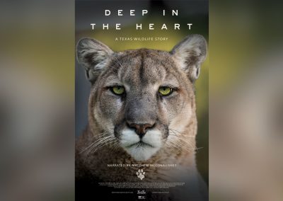 Go Wild for New Texas Nature Documentary Narrated by Matthew McConaughey
