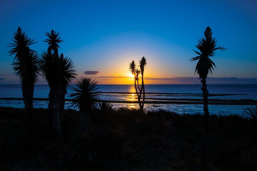 A Peaceful Sunrise Brightens the Laguna Madre Shoreline in South Texas