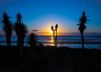 A Peaceful Sunrise Brightens the Laguna Madre Shoreline in South Texas