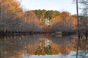 Texas and Louisiana Find Common Ground Along Toledo Bend Reservoir