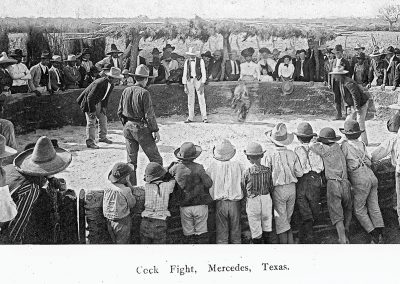 Cockfighting Flourished in Texas in the Early 1900s