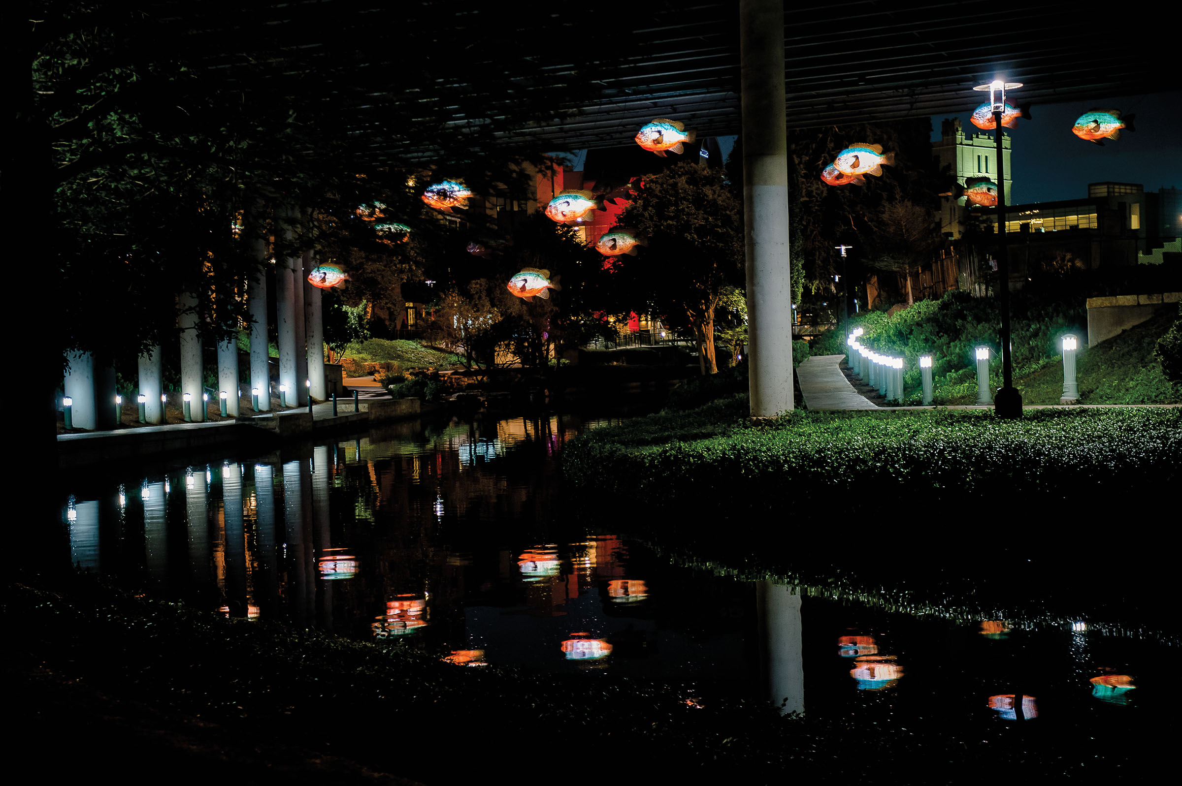 Brightly illuminated blue and gold fish sculptures light up above the water under a concrete overpass