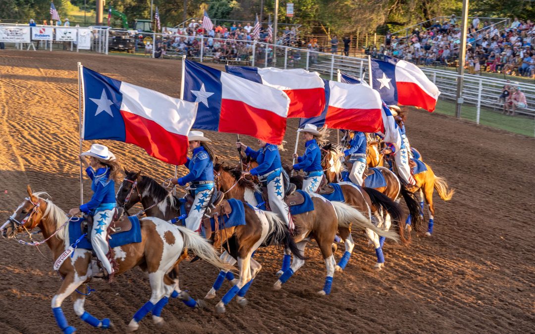 10 Facts About the Texas State Flag