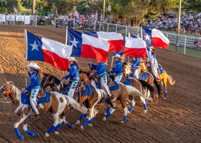 10 Facts About the Texas State Flag
