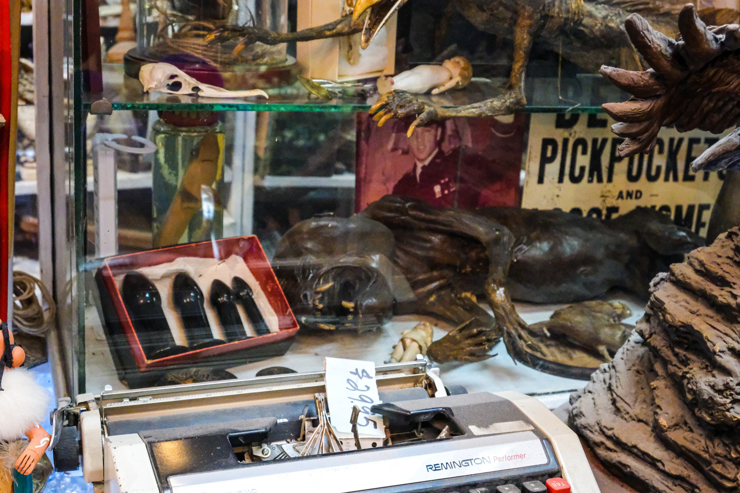 Dave's: A Pawn Shop Is Filled to the Brim With Historical, Eclectic, and  Cryptic Artifacts