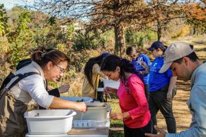 At Texas Stream Team, Citizen Scientists Give Back to Waterways