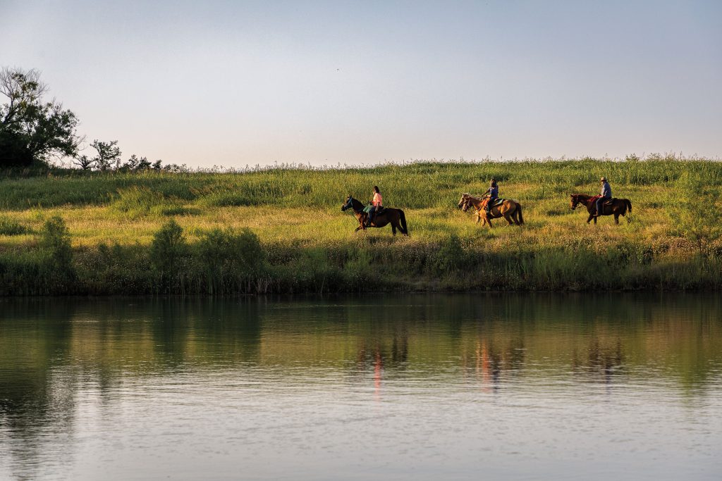 Three horses walk by a body of water in a grassland