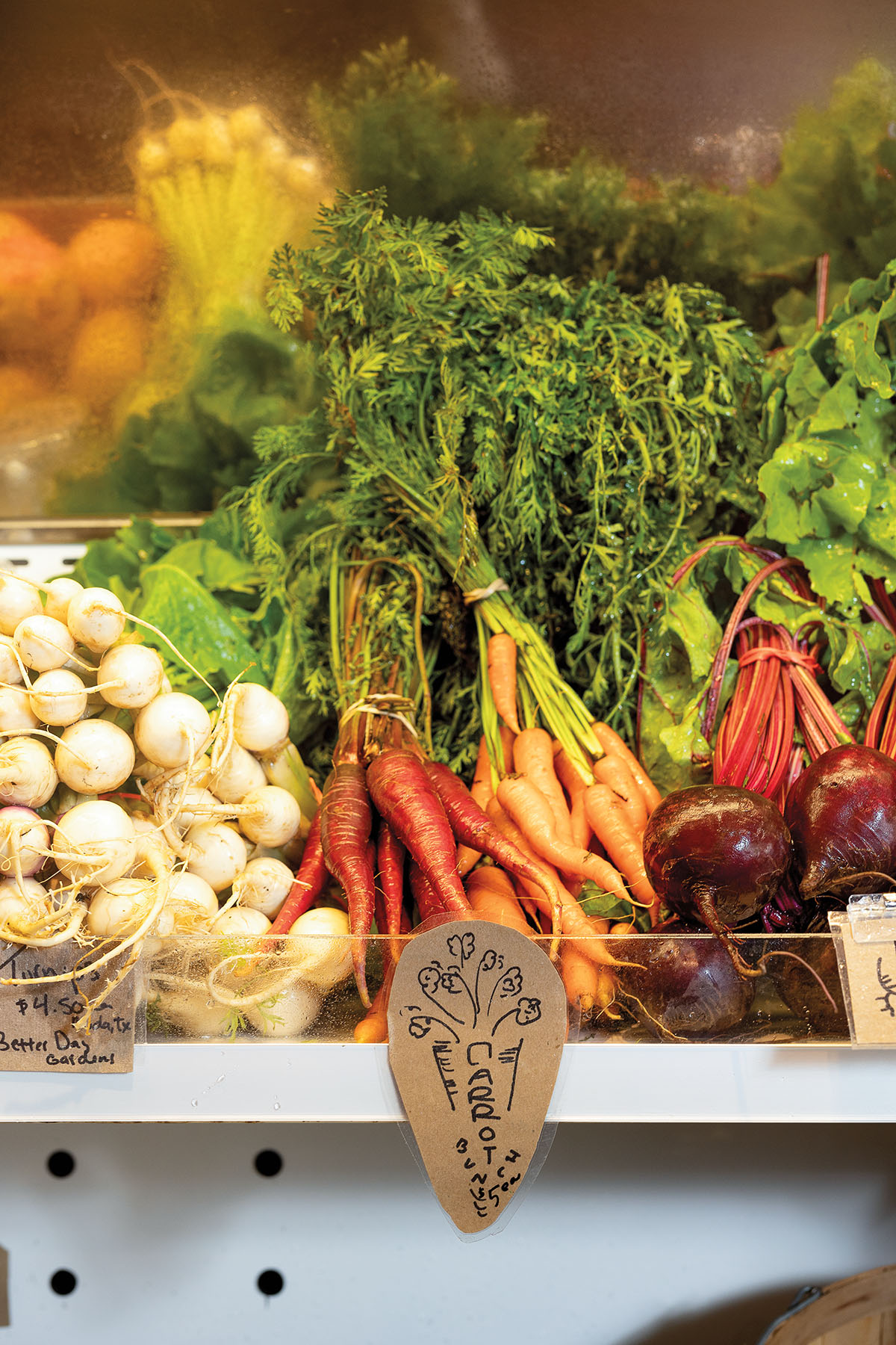 Brightly colored carrots and beets displayed in a produce case