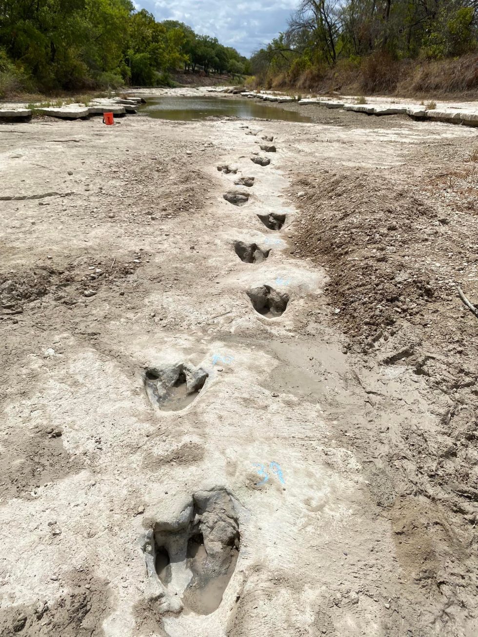 New Discovery Of Dinosaur Tracks Adds To Glen Rose's Dino-mite Collection