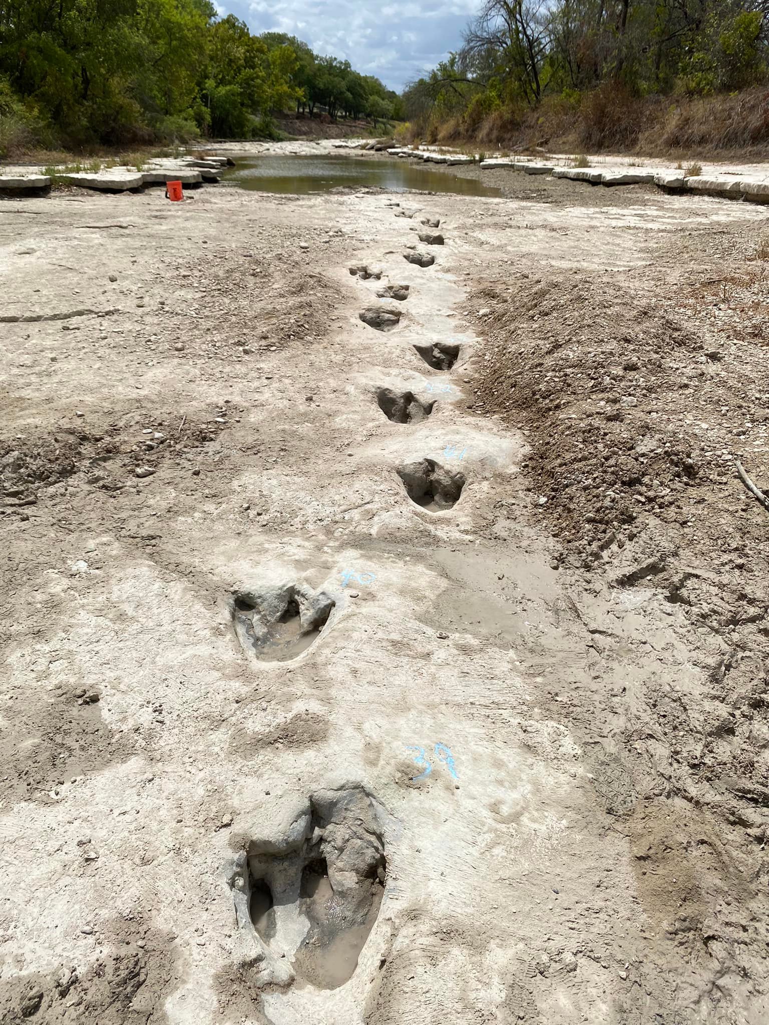 New Discovery of Dinosaur Tracks Adds to Glen Rose's Dino-mite Collection