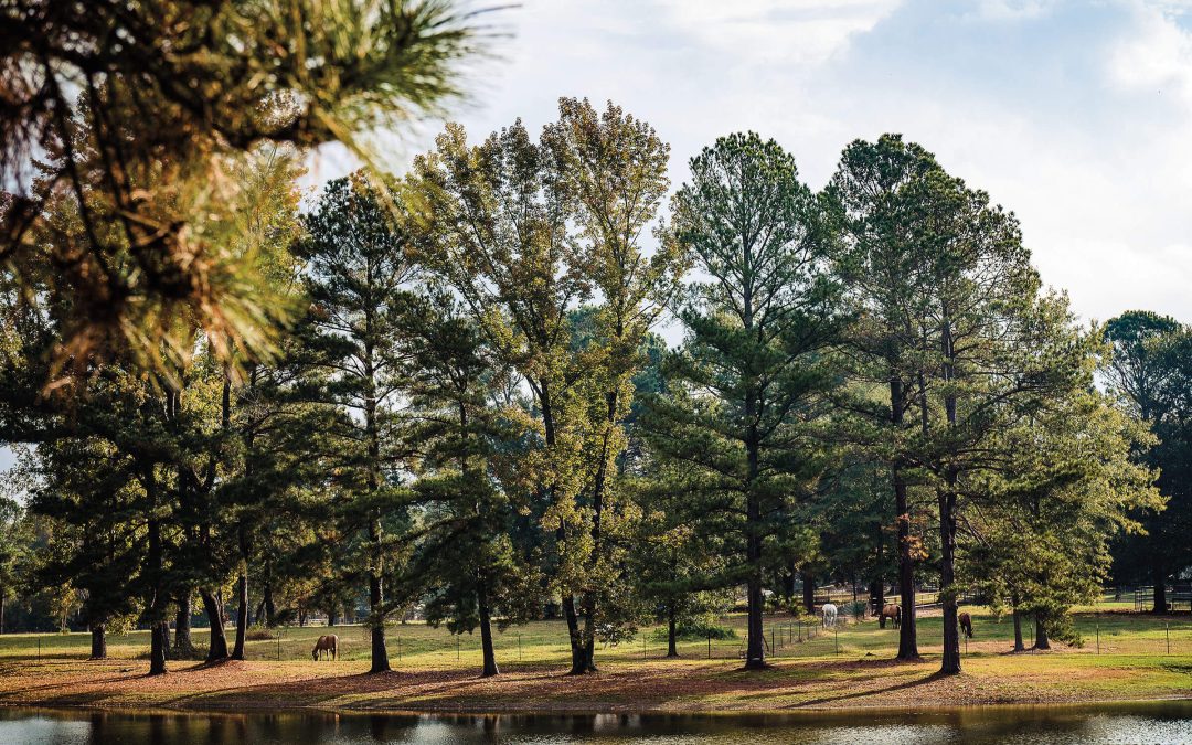 Dance the State Line Two-Step on a Weekend Getaway to Texarkana