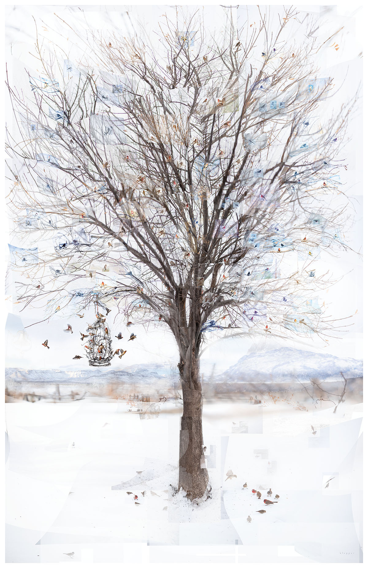 A composite image of birds in a winter tree with no leaves on a snowy landscape