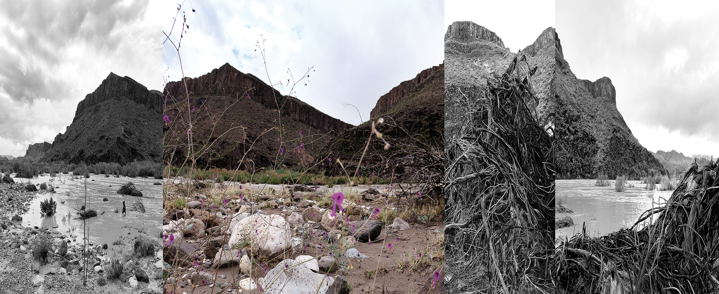 A collection of various scenes of the Rio Grande, including two with significant flooding
