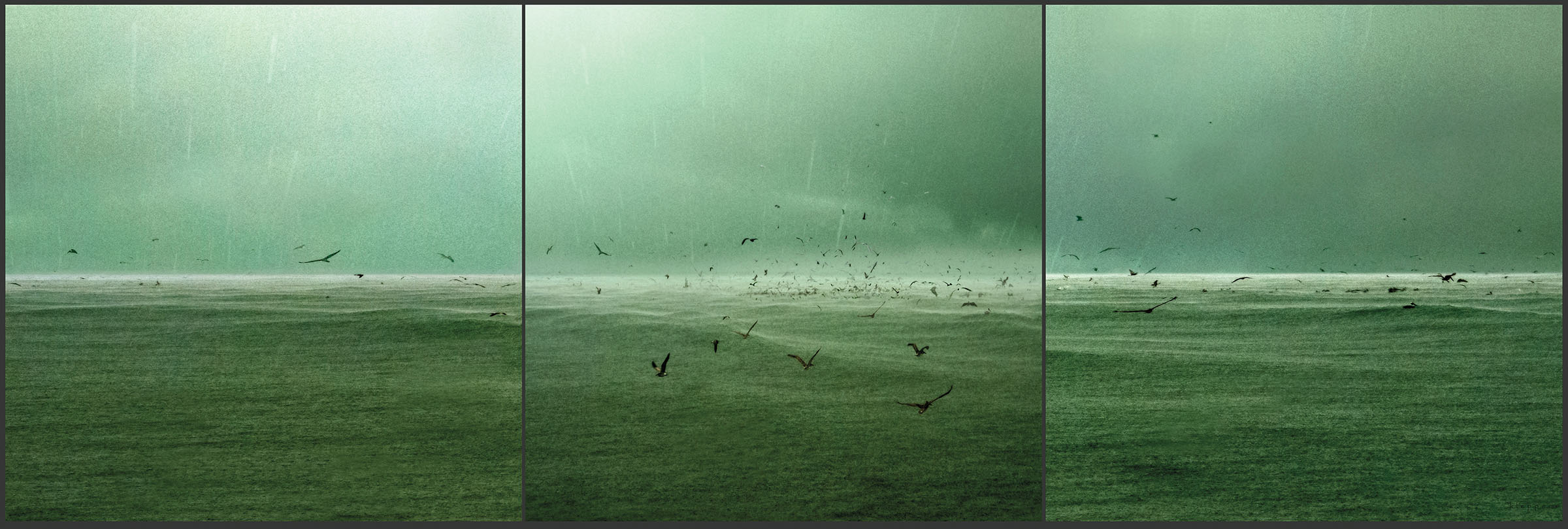 A collection of three images of birds flying by a large body of water with a greenish dark tint