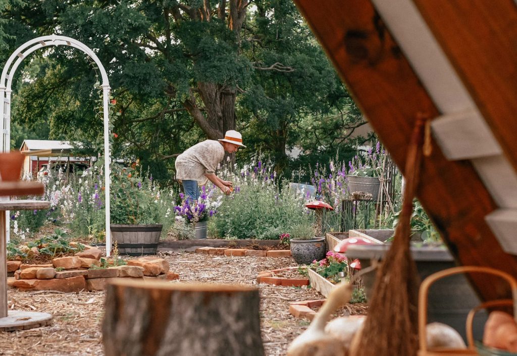 A person leans down in a lavender patch surrounded by farm and vintage antiques
