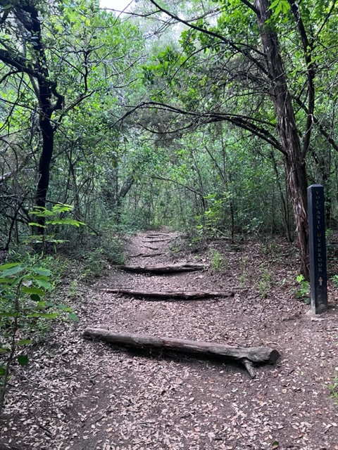 A Hiker Confronts Monoculture in Austin Parks