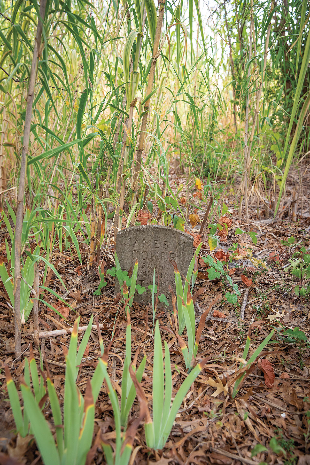 A concrete headstone in a cemetery with green grass