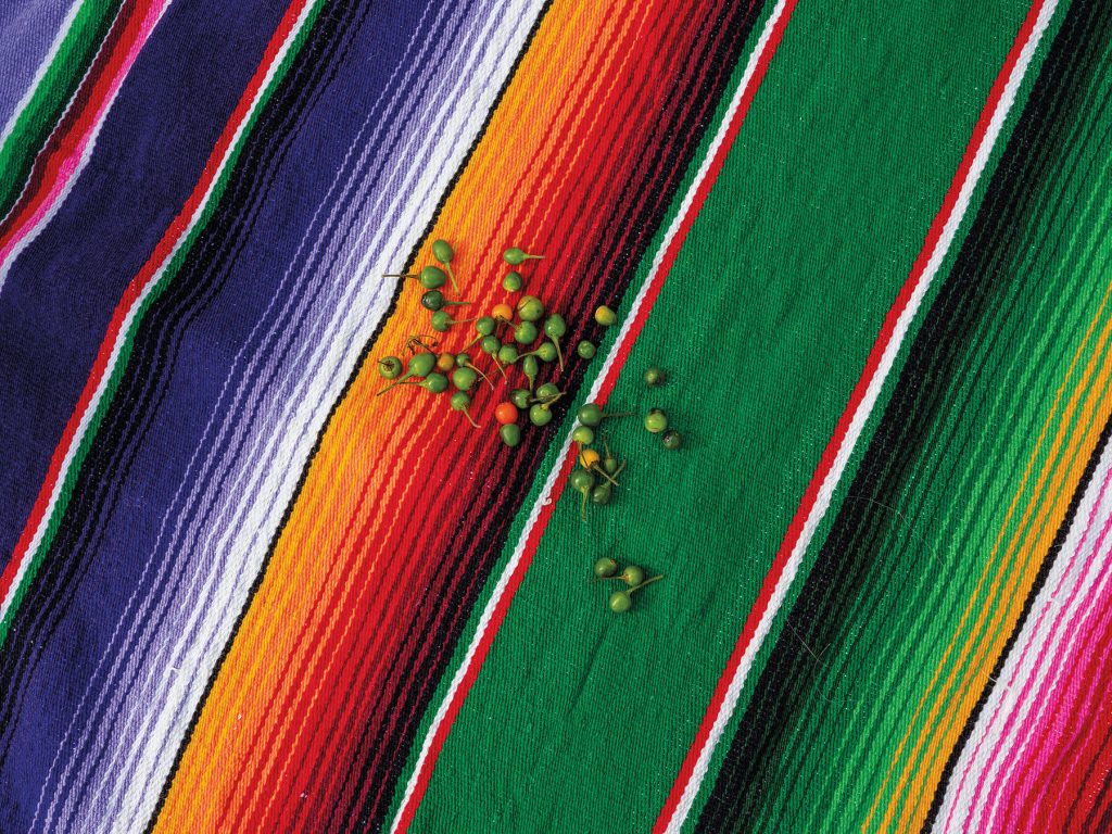 A handful of green chile pequins on a mexican Serape style blanket