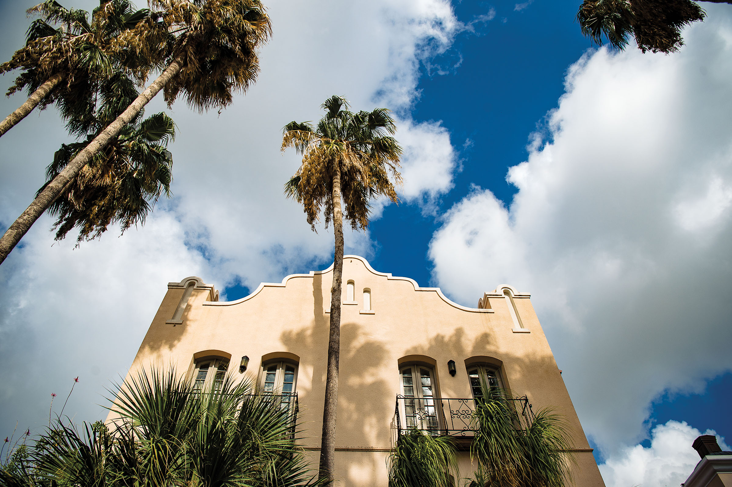 The exterior of a Spanish-style building with a tall palm tree in front