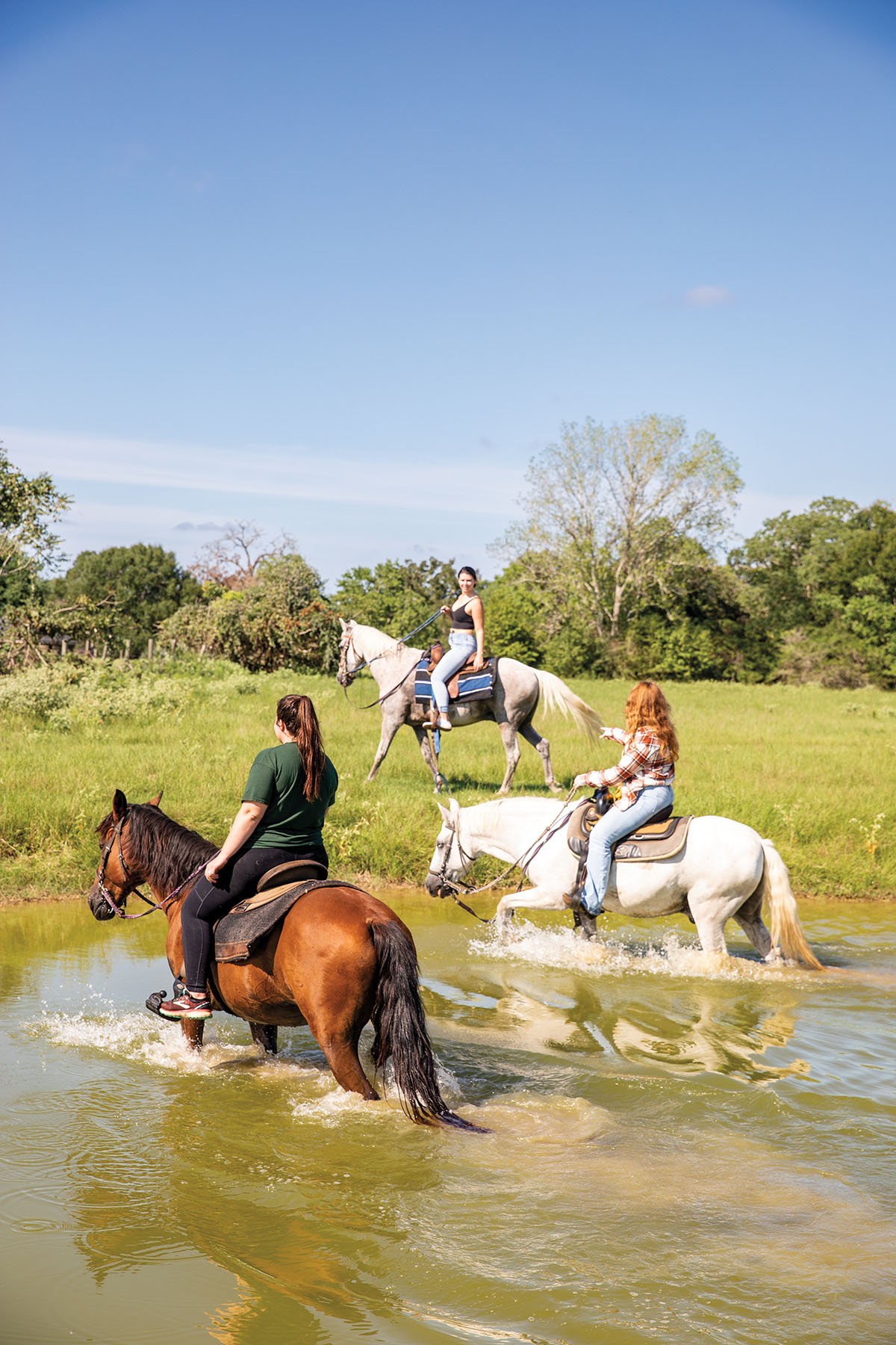 Three people ride horses on an open pasture and through water
