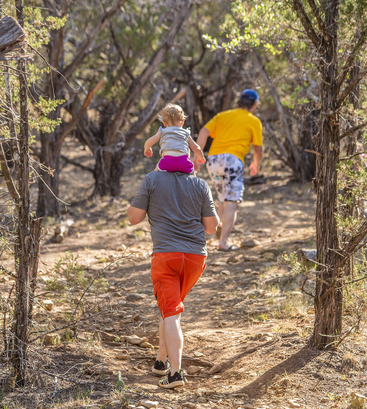 A group of people, with a small child on one's shoulders, walking through the woods