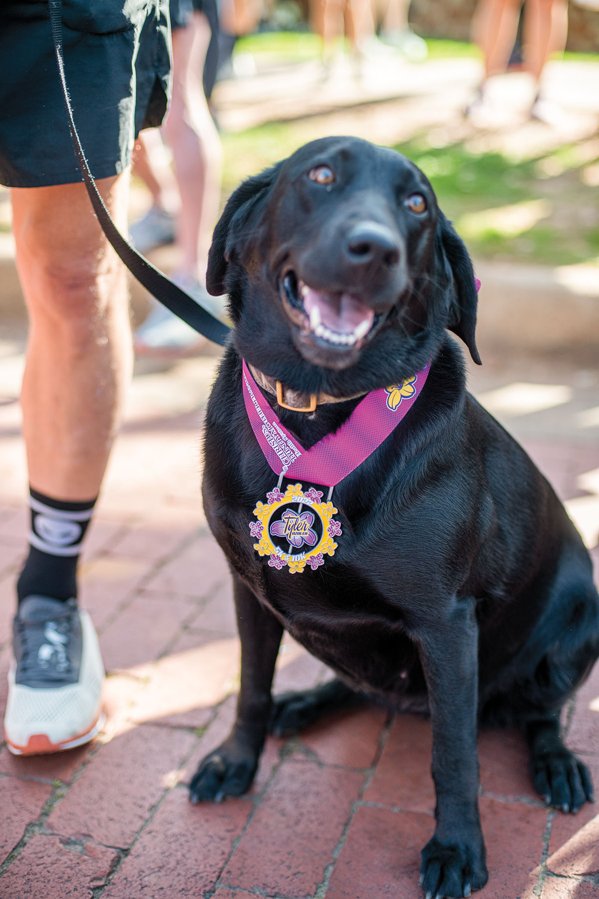 A black dog poses with a purple race medal