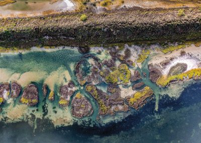 A Bird’s-Eye View of Laguna Madre