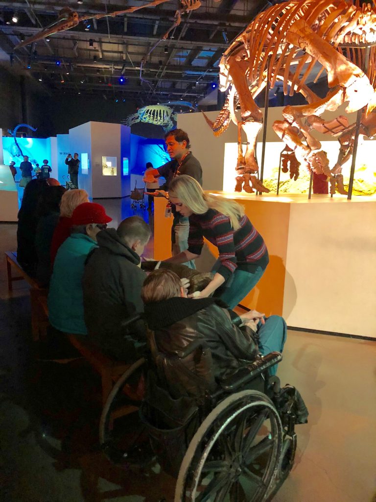 Museum guides offer items for a group of people using wheelchairs to touch. A dinosaur display is in the background.