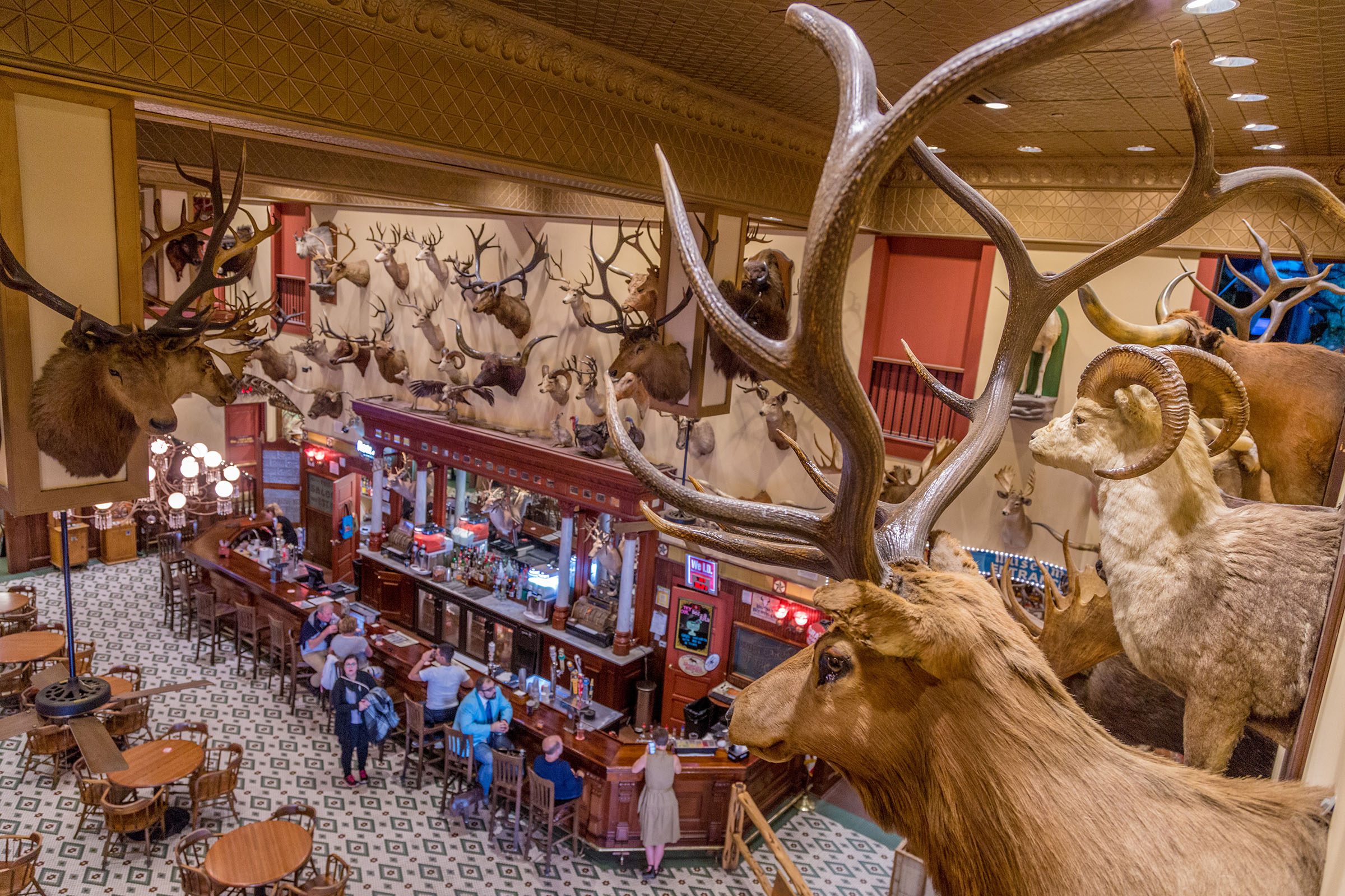 The Buckhorn Saloon and Texas Ranger Museum - All You Need to Know