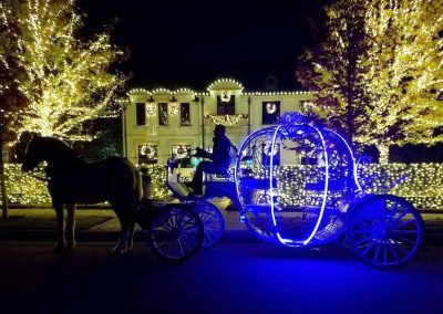 For Fans of Christmas Lights, a Carriage Ride in Highland Park Is Peak Holiday Fun