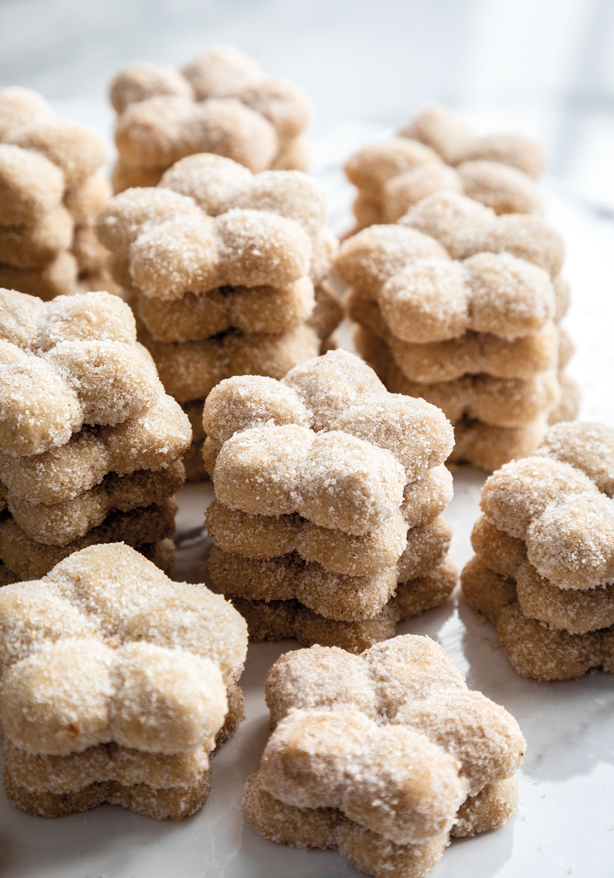 A stack of small tan cookies with cinnamon sugar