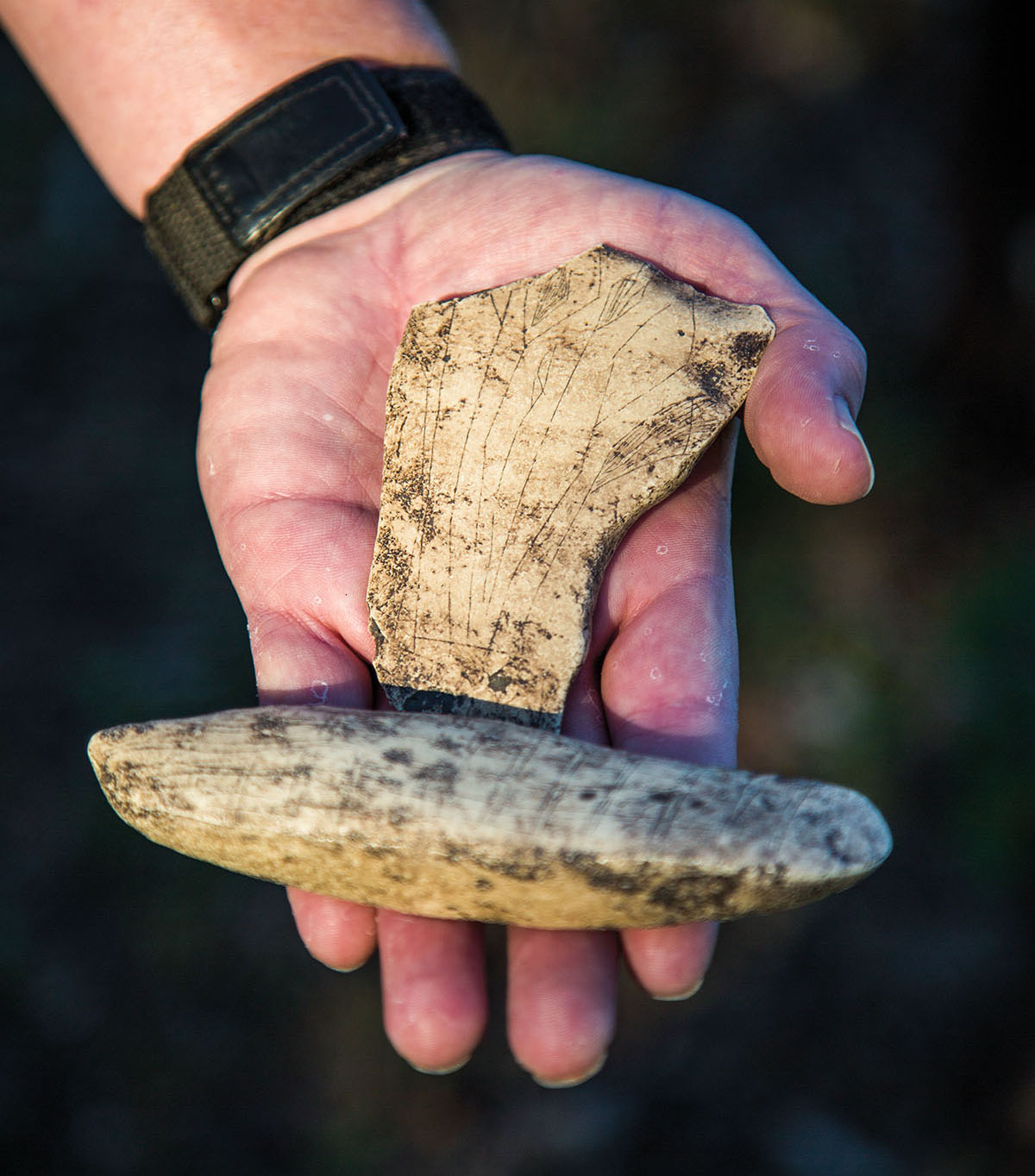 A person holds two pieces of limestone