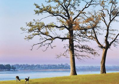 A New Book Explores the Beauty and Diversity of Texas State Parks Through Art