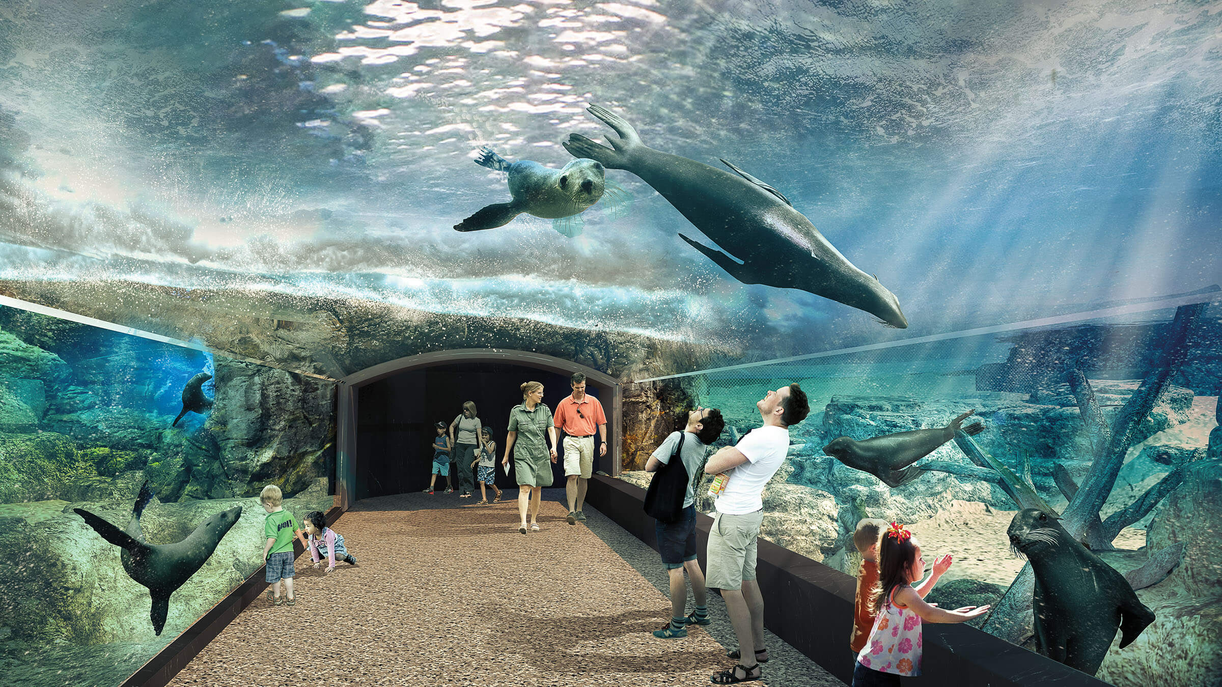 A rendering of people looking up at animals swimming in an overhead water tank